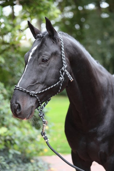 Licol éthologique en corde noir et gris, poney, cob ou full