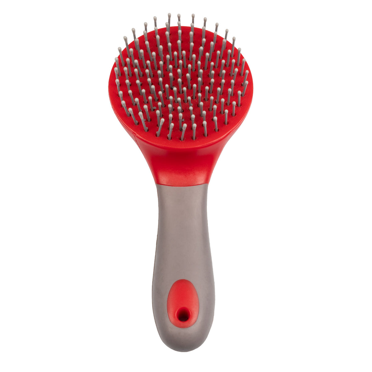 Brosse ronde crinière et queue avec manche, 5 coloris