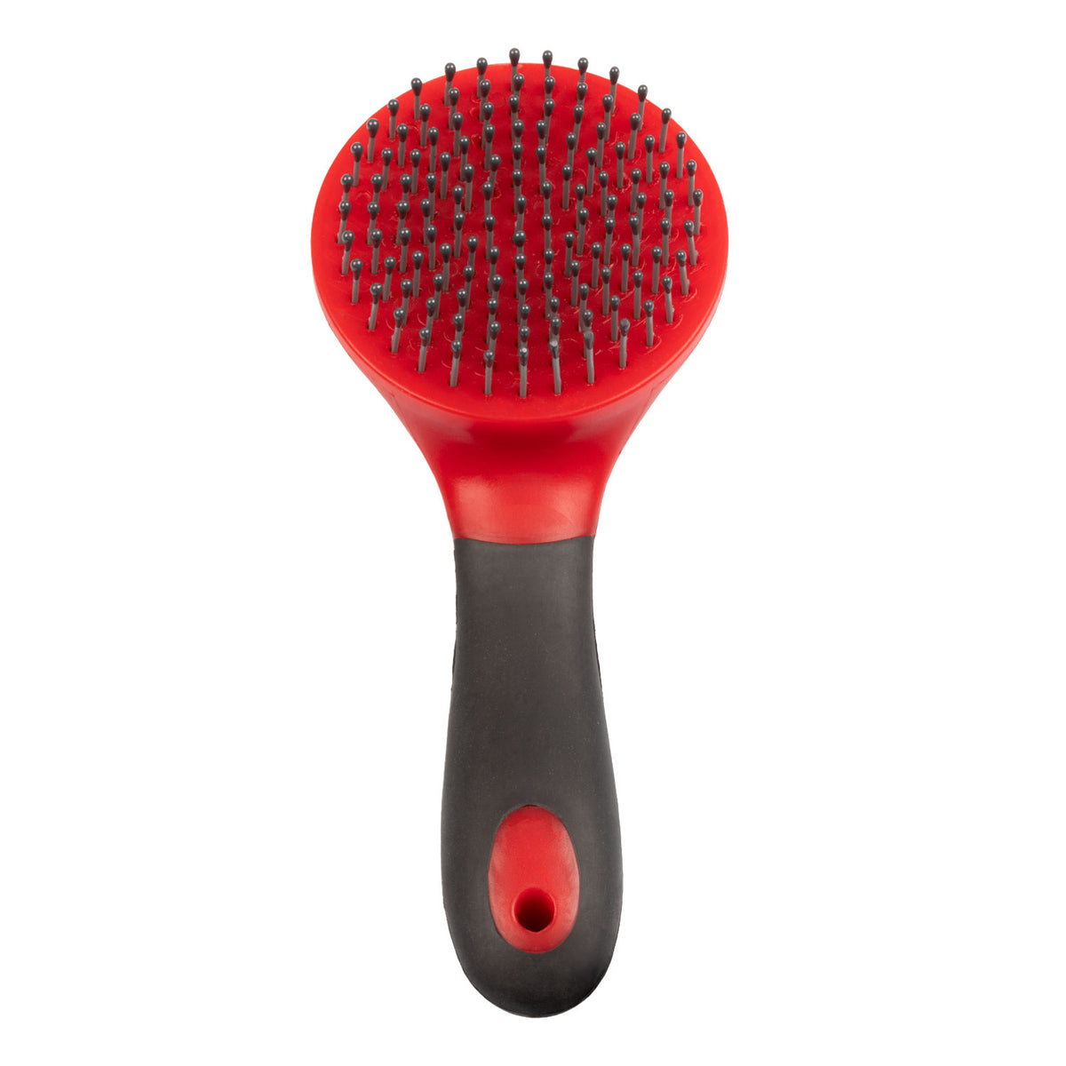 Brosse ronde crinière et queue avec manche, 5 coloris