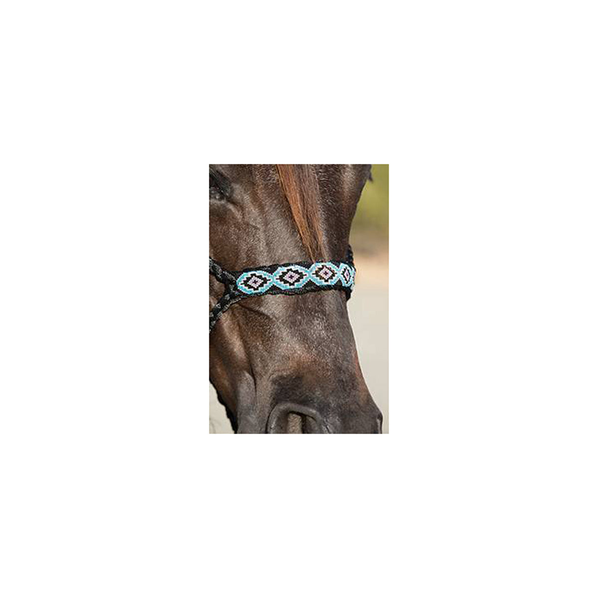 Licol cowboy tressé Professional's Choice en corde