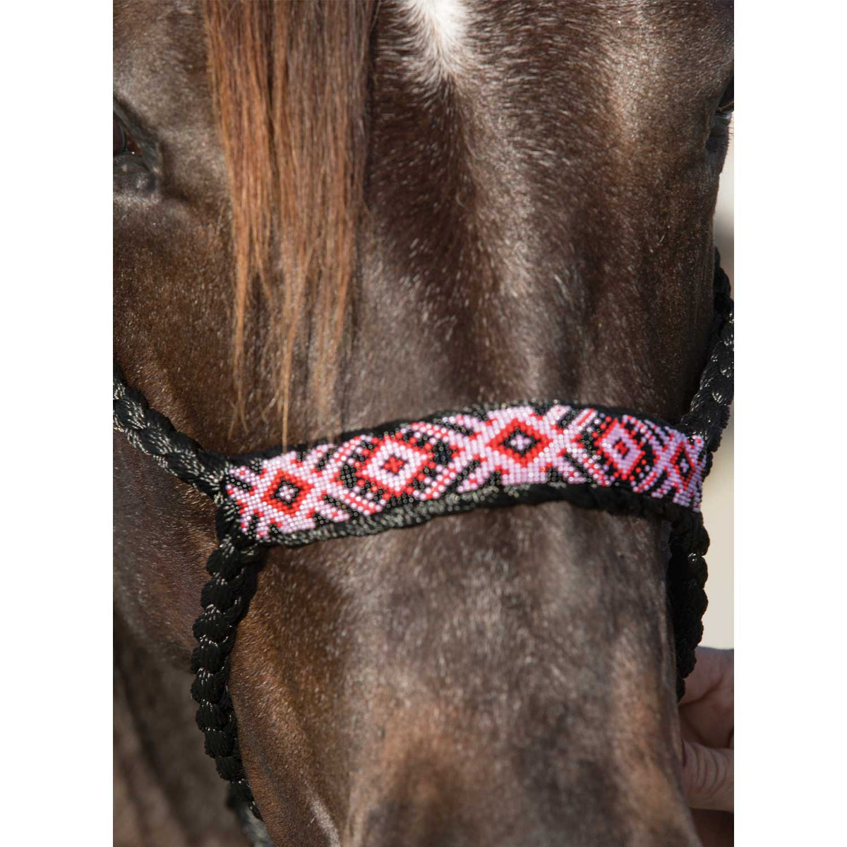 Licol cowboy tressé Professional's Choice en corde