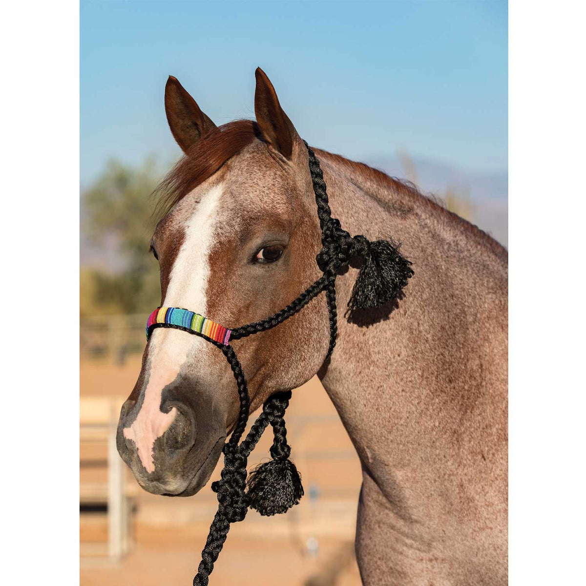 Licol cowboy tressé Professional's Choice en corde