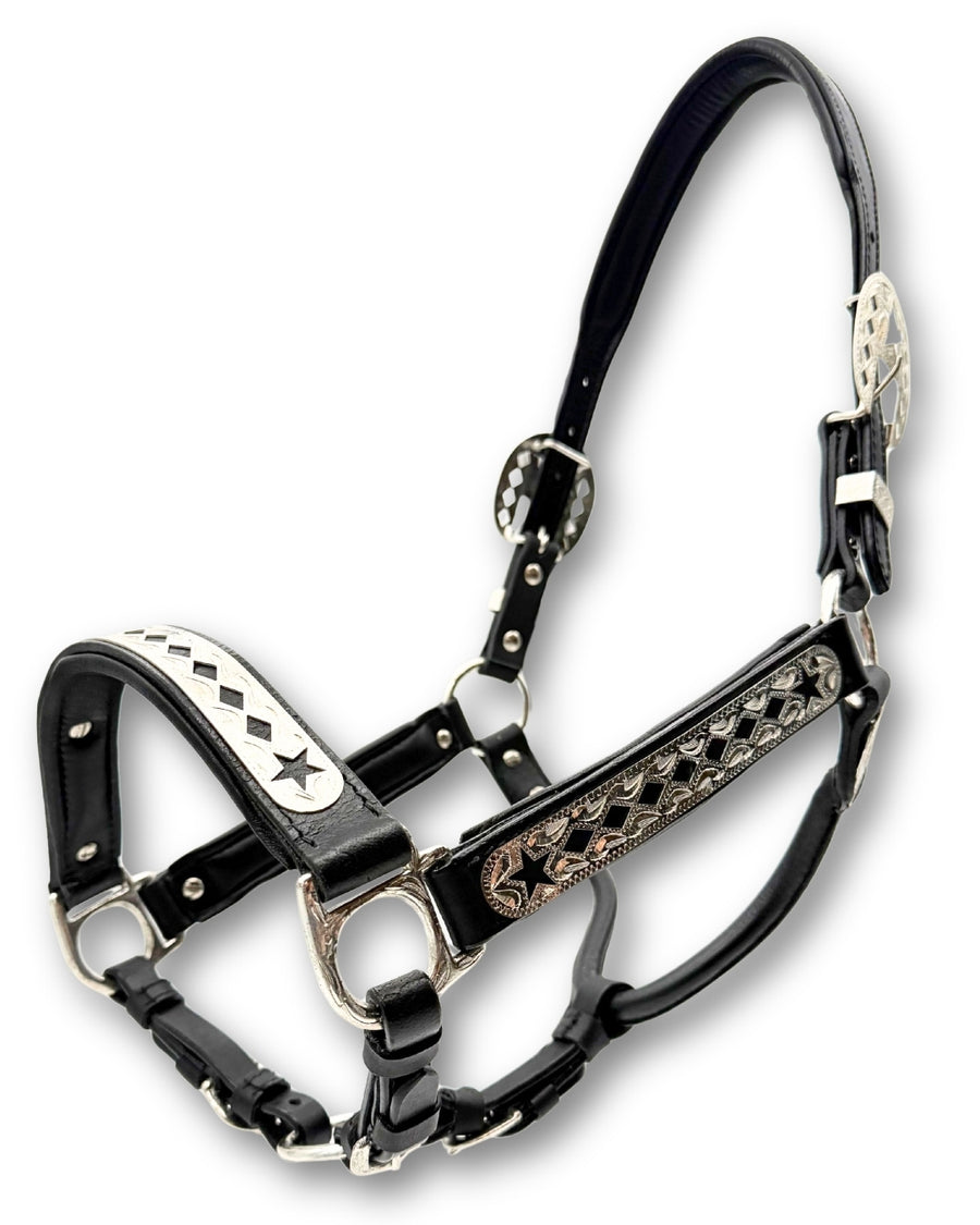 Licol de présentation western cuir noir rembourré, étoiles argent, chaîne