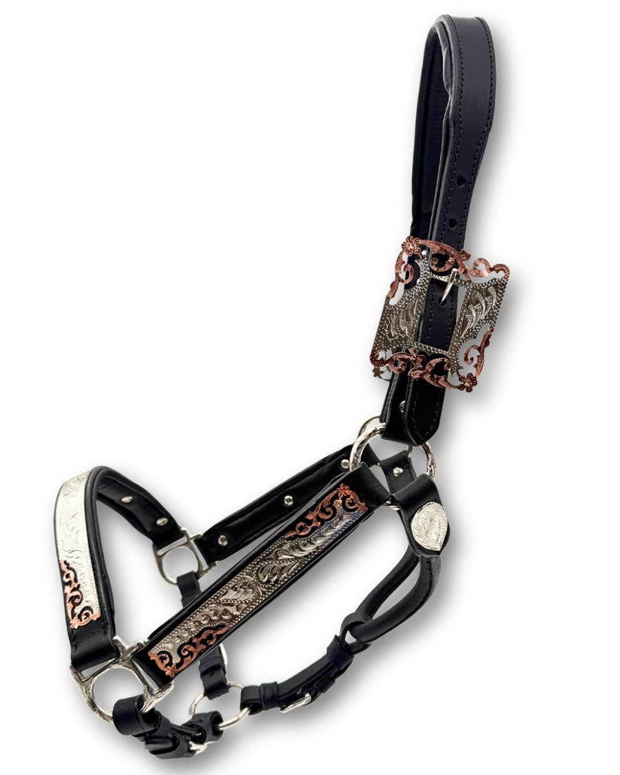 Licol de présentation western cuir noir rembourré, ferrures or rose
