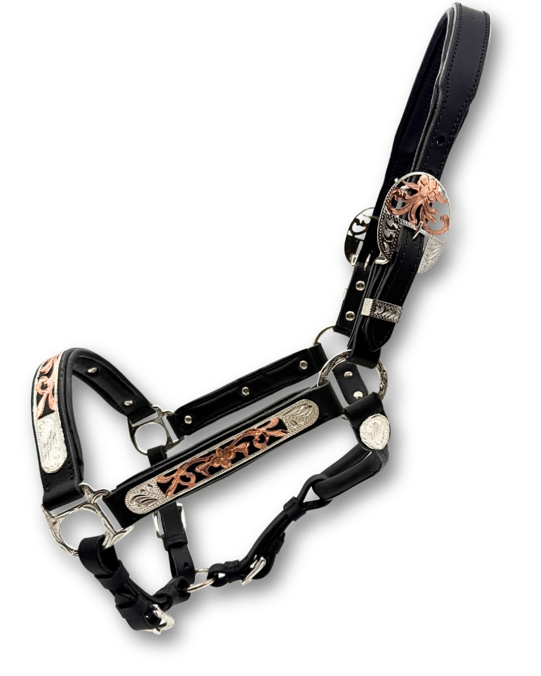 Licol de présentation western cuir noir rembourré, accents or rose