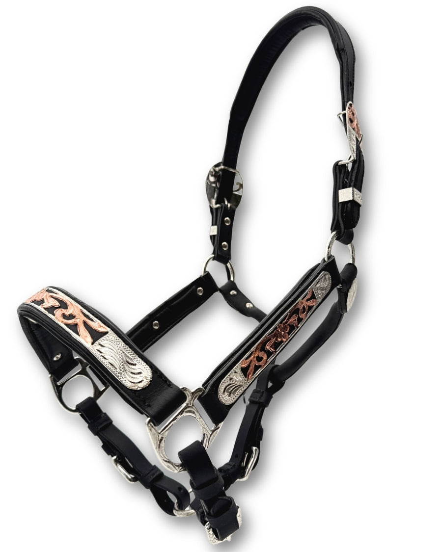 Licol de présentation western cuir noir rembourré, accents or rose