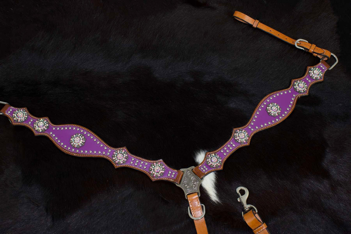 Collier de chasse western violet avec 10 conchos à pierres claires
